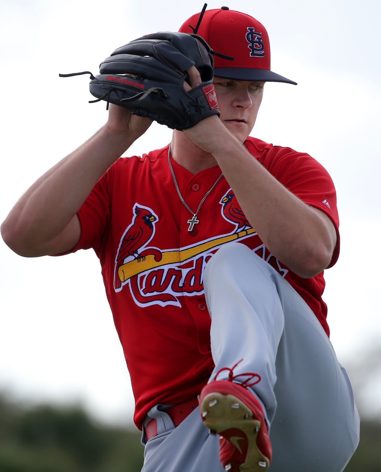 Cardinals spring training continues